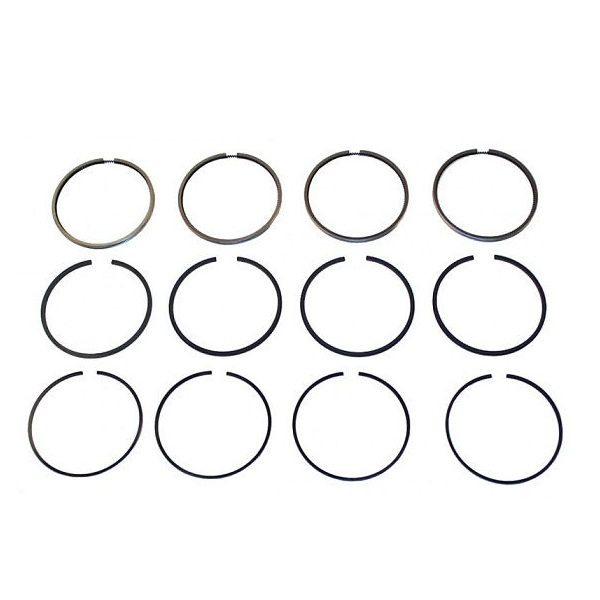 Jeu de 12 segments en 76,50 pour transporter T25/T3 1,6 D/TD Jeu de 12 segments en 76,50 mm pour transporter T25/T3
